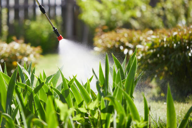 Tamper-Resistant Bait Stations for Rodents in Liberty