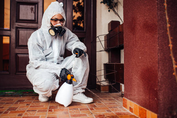 Attic and Crawl Space Rodent Treatment in Liberty