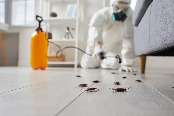 Commercial Rodent Management in Liberty
